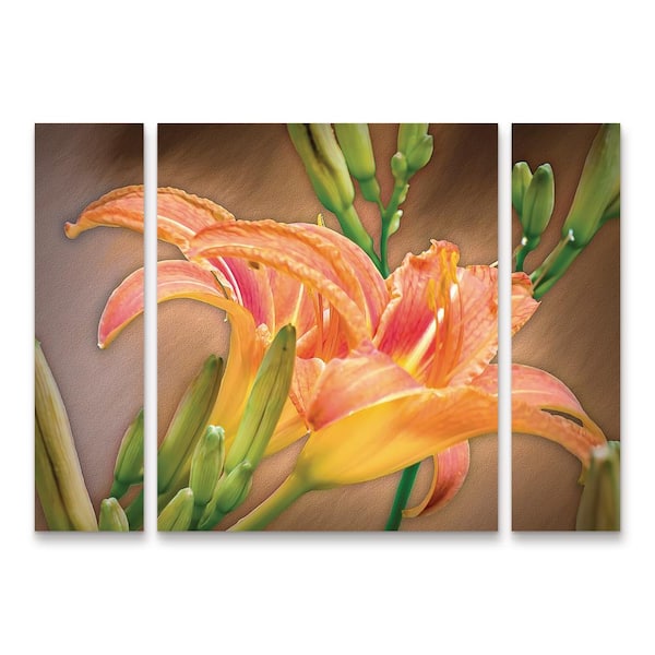 Trademark Fine Art Leslie Montgomery A Gift From the Orient 3-Piece Panel Set Unframed Photography Wall Art 30 in. x 41 in.