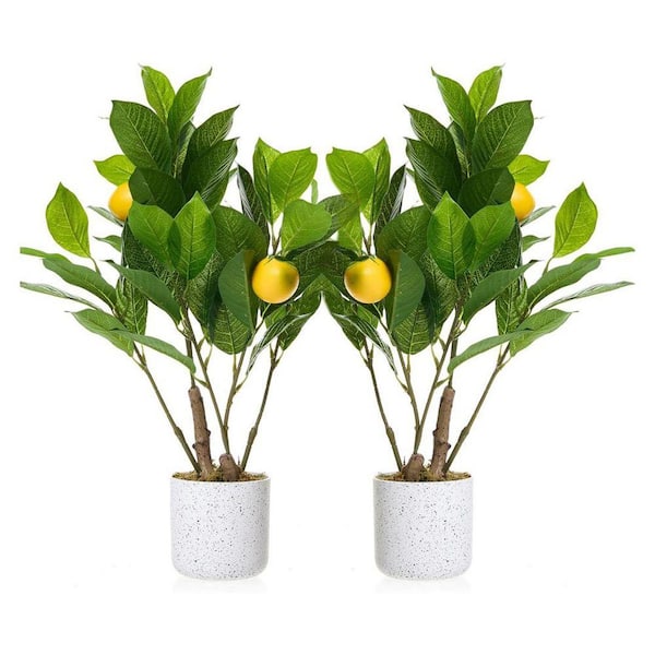 MOVECOM 1.6FT 2Pcs Artificial Lemon Trees with White Pot, Faux