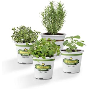 19 oz. Beginners Urban Herb Garden Plant Kit (4-Pack)-Lavender, Greek Oregano, Garden Sage, German Thyme