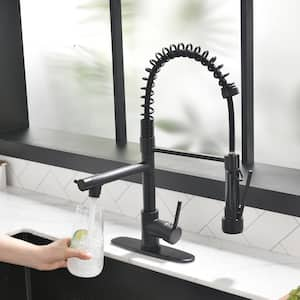 Single Handle Pull-Down Sprayer Kitchen Faucet with Deck Plate and Soap Dispenser in Matte Black