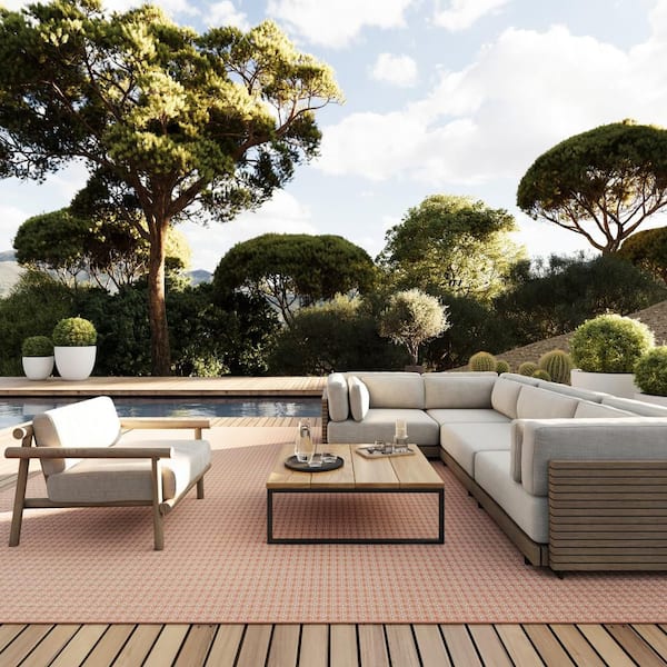 Tirzah Modern Coral 4 ft. x 6 ft. Outdoor Area Rug