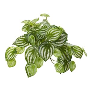 Indoor 11 Watermelon Peperomia Hanging Artificial Bush Plant (Set of 12)