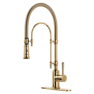 2-Functions Single Handle Gooseneck Pull Down Sprayer Kitchen Faucet with Spring Tube in Solid Brass Brushed Gold