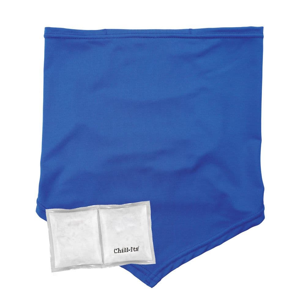 Chill-Its 6482 S/M Blue Cooling Neck Gaiter Bandana Pocket Kit price history on PriceWatchPro
