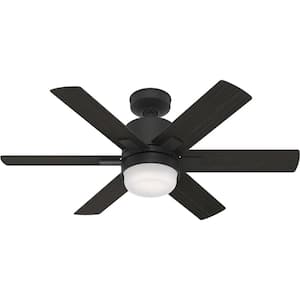 Radeon 44 in. Indoor Matte Black Smart Ceiling Fan with Light Kit and Wall Switch