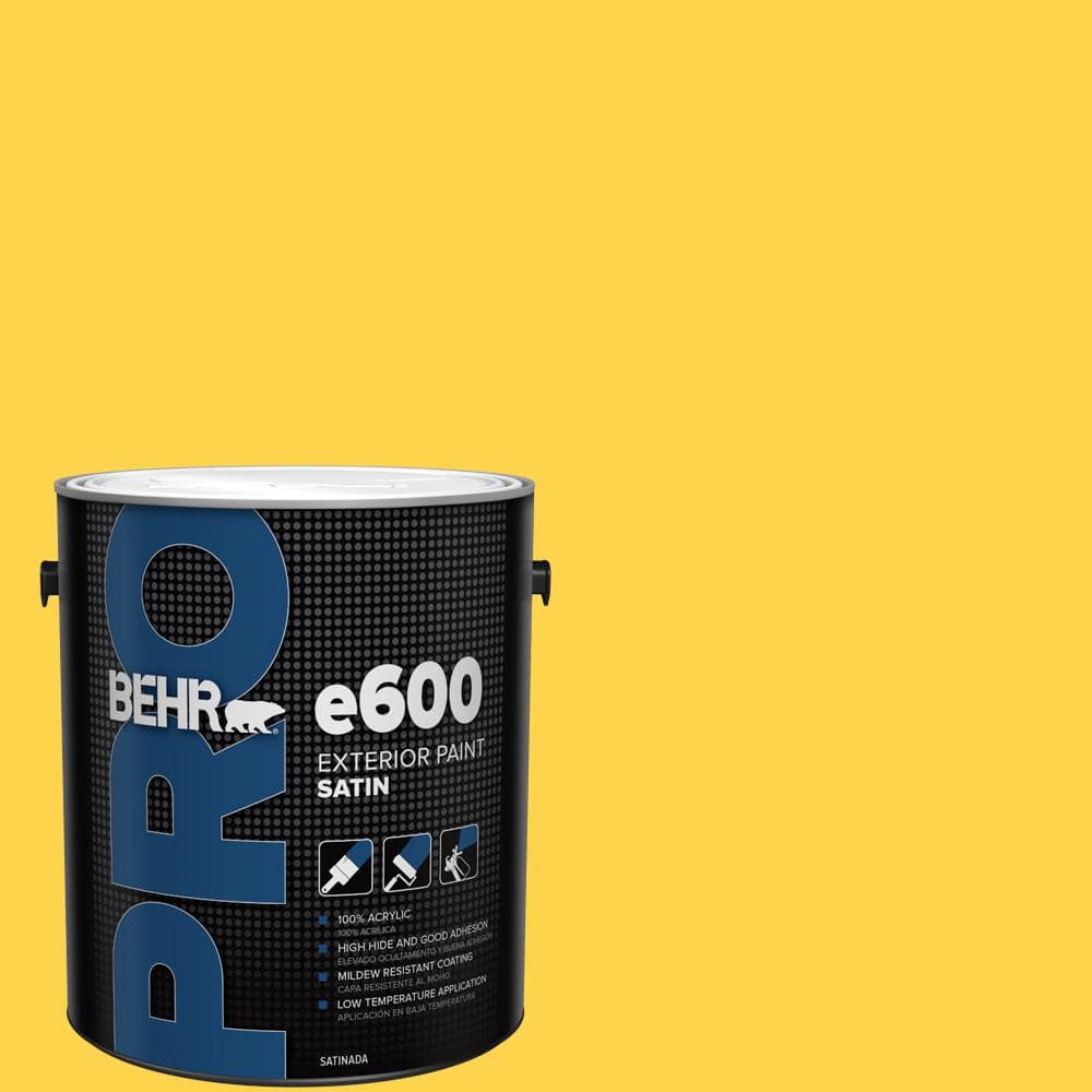 1 gal. #370B-6 Vibrant Satin Exterior Paint price history on PriceWatchPro