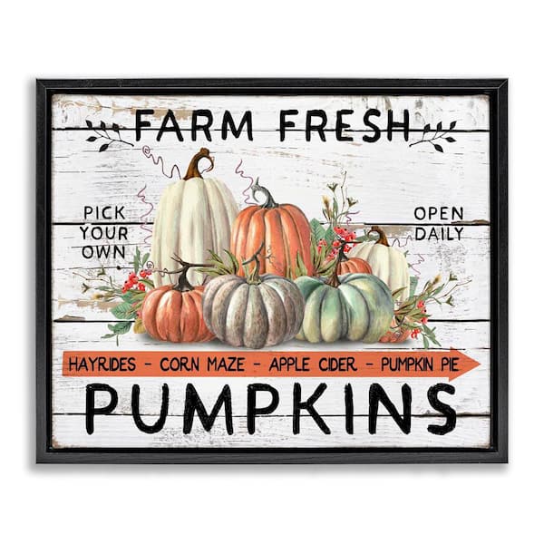 Fresh Pumpkin Mound by Creatif Belle Black Floater Frame Graphic Typography Art Print 31 in. x 25 in.
