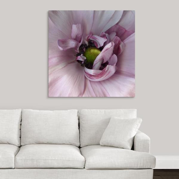 GreatBigCanvas "Ranunculus Pink" by Magda Indigo Canvas Wall Art