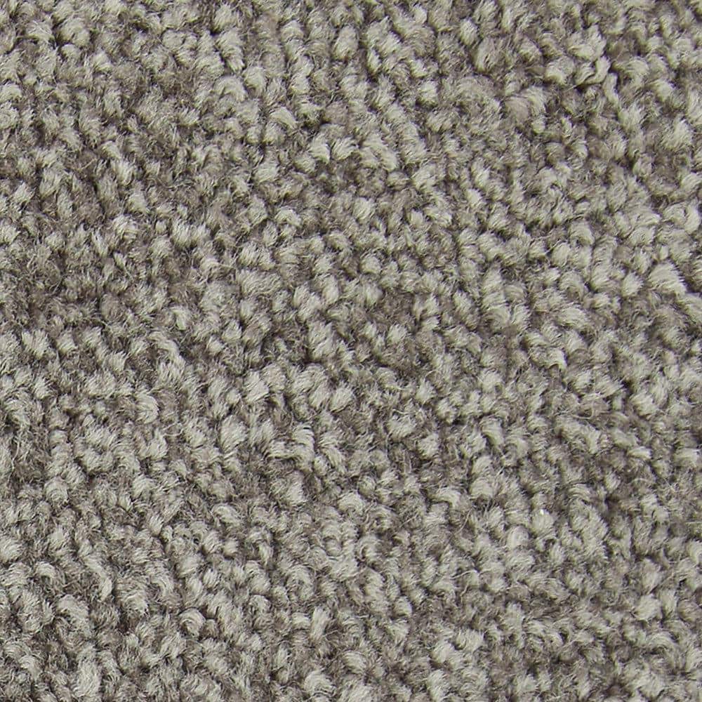 8 in. x 8 in. Texture Carpet Sample - Gentle Peace II -Color Contessa price history on PriceWatchPro