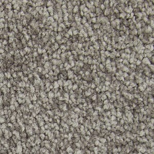 Gentle Peace I  - Contessa - Brown 45 oz. Triexta Texture Installed Carpet