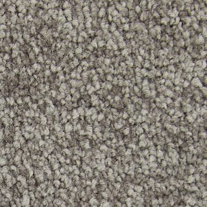 Gentle Peace II  - Contessa - Brown 55 oz. Triexta Texture Installed Carpet