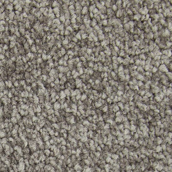 Lifeproof with Petproof Technology Gentle Peace II  - Contessa - Brown 55 oz. Triexta Texture Installed Carpet