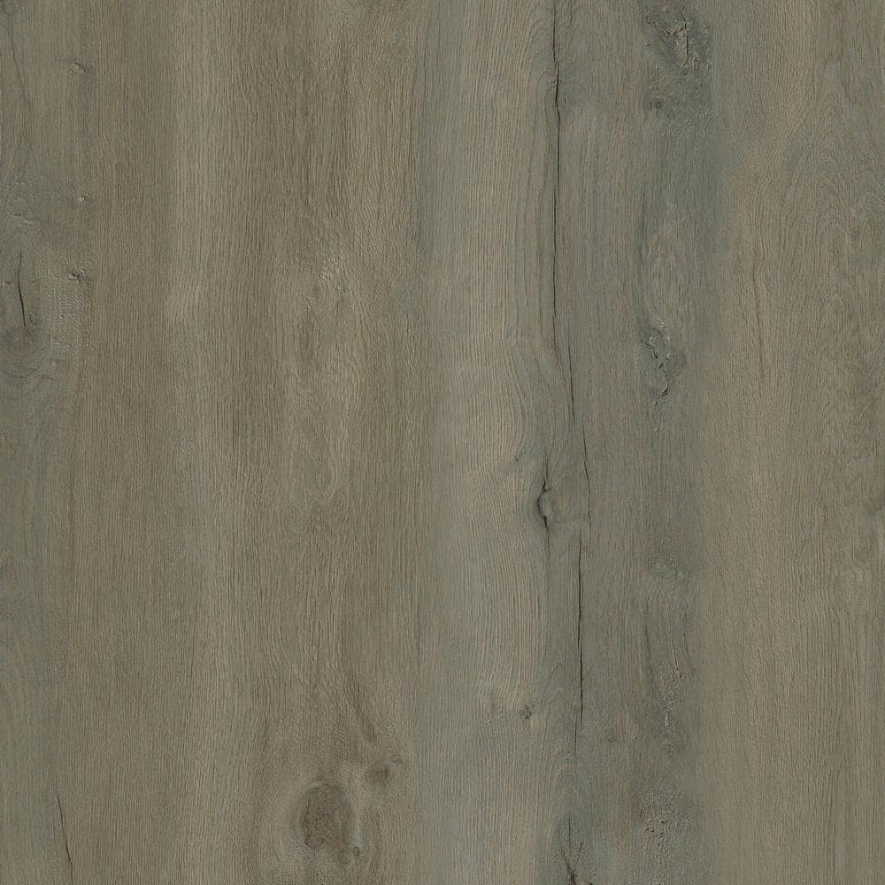Take Home Sample - Sieni Ridge Oak Click Lock Waterproof Luxury Vinyl Plank Flooring price history on PriceWatchPro
