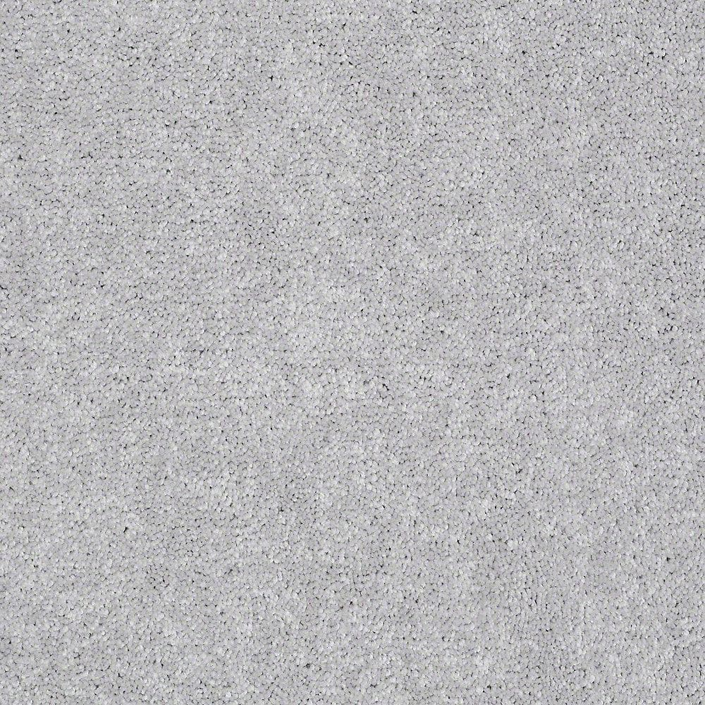 8 in. x 8 in. Texture Carpet Sample - Brave Soul I - Color Nightingale price history on PriceWatchPro