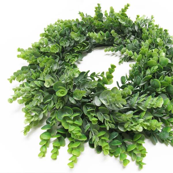 16 in. Frosted Green Artificial Eucalyptus Leaf Foliage Greenery Wreath