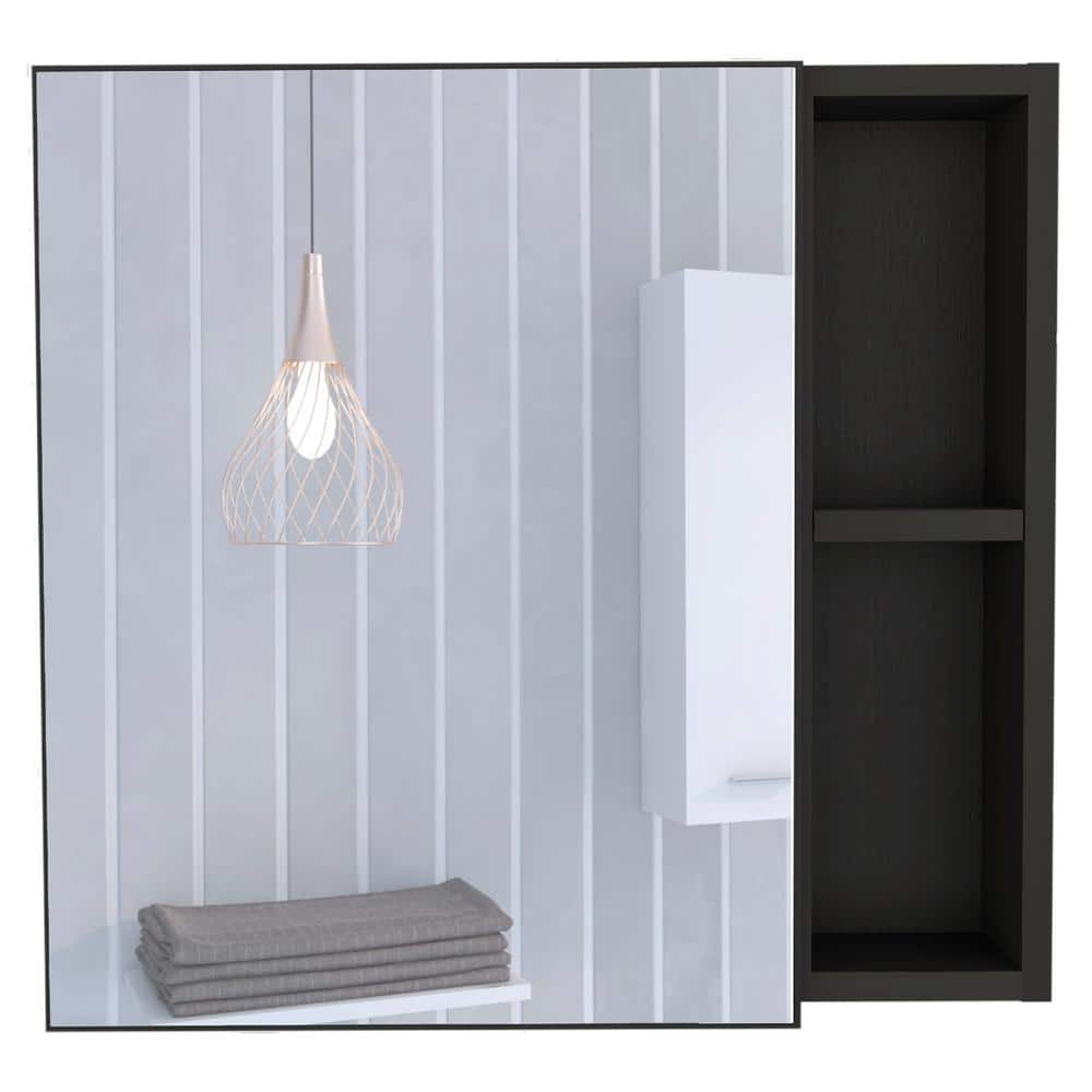 19.6 in. W x 18.6 in. H Rectangular Medicine Cabinet with Mirror Internal a