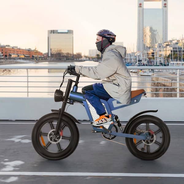Zeus & Ruta 20 in. 750-Watt Fat Tire 48-Volt Removable Lithium