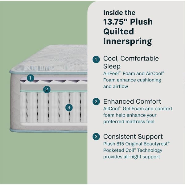 Slumberscape Queen Plush 13.75 in. Mattress