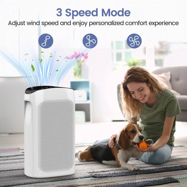 Edendirect 495 sq. ft. 3-Speed HEPA - True Portable Console Air