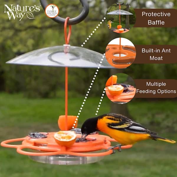 Nature's Way Oriole All-In-One Buffet Plastic Feeder 12 oz OFP1