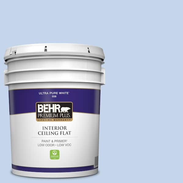 5 gal. #580A-3 Rain Song Ceiling Flat Interior Paint