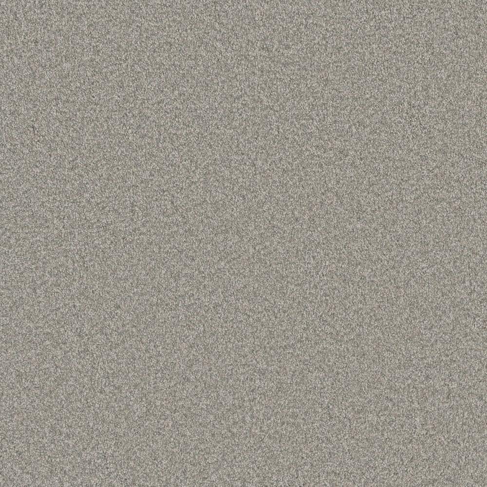 8 in. x 8 in. Texture Carpet Sample - Trendy Threads Plus III -Color Diamond price history on PriceWatchPro