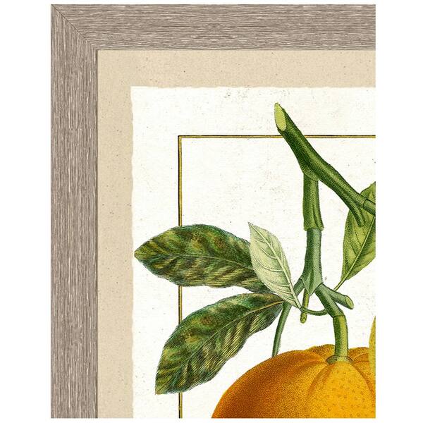 Gouache painting Gouache art print- Oranges painting- Fruit painting-  Oranges prints for Kitchen decor- Botanical Print- Kitchen Wall art