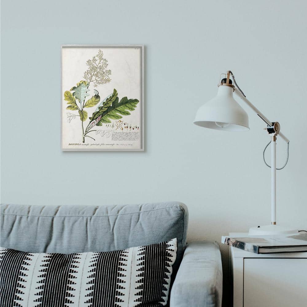Vintage Botanical Plant Illustration Canvas Print for Kids, 16 x 20