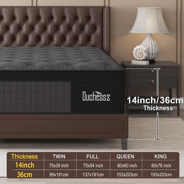 Duchessz Queen Medium Firm Hybrid 14 in. Euro Top Support