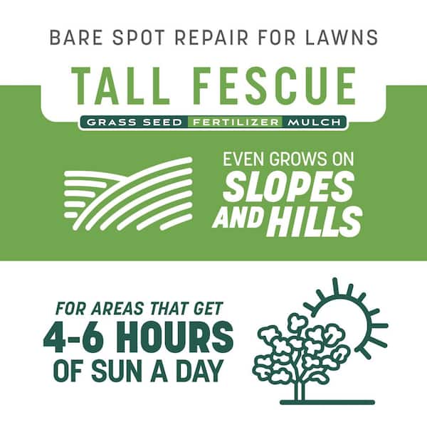 Smart Patch Tall Fescue 5 lb. 100 sq. ft. Grass Seed Bare Spot Repair with Mulch and Fertilizer