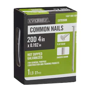 4 in. x 20D Hot Dipped Galvanized Common Nails 1 lb. (27-Count)