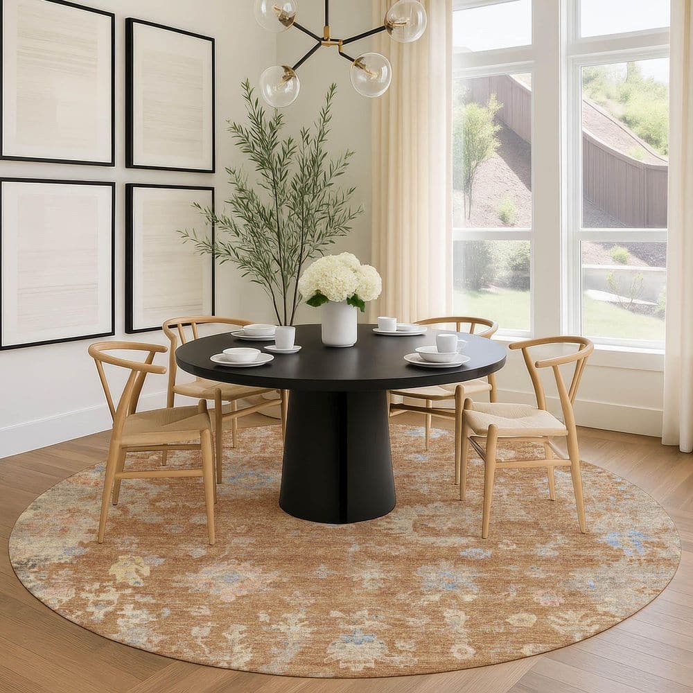 Chantille Machine Washable Indoor/Outdoor Abstract ACN2302 Copper 8 ft. x 8 ft. Round Rug price history on PriceWatchPro
