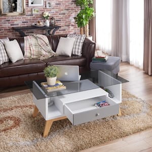 Eleanore 48 in. Gray/White/Brown Large Rectangle Glass Coffee Table with Drawers