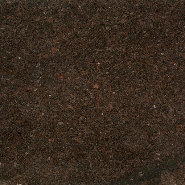 STONEMARK 3 in. x 3 in. Granite Countertop Sample in Coffee Brown
