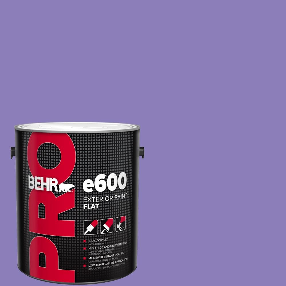 1 gal. #P560-5 Unimaginable Flat Exterior Paint price history on PriceWatchPro