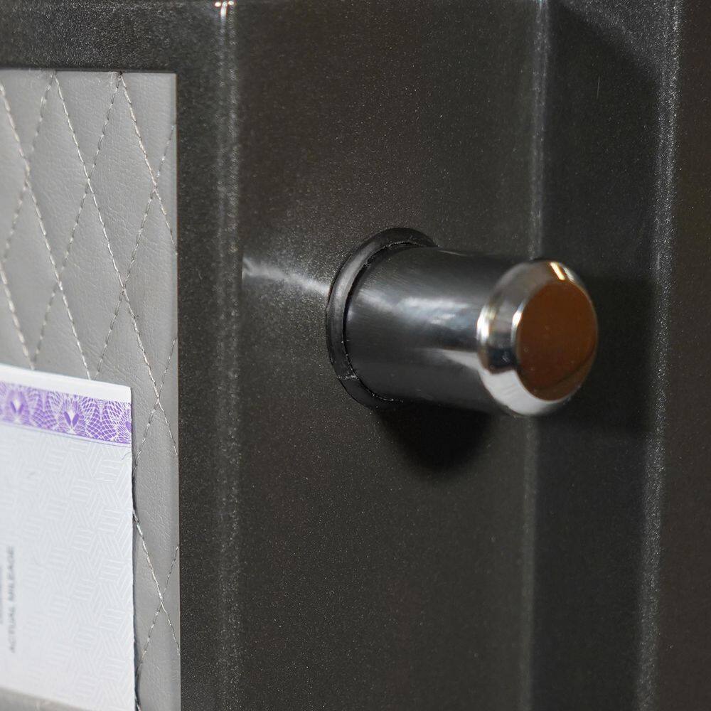 Dark Gray Medium Fireproof Waterproof Digital Safe