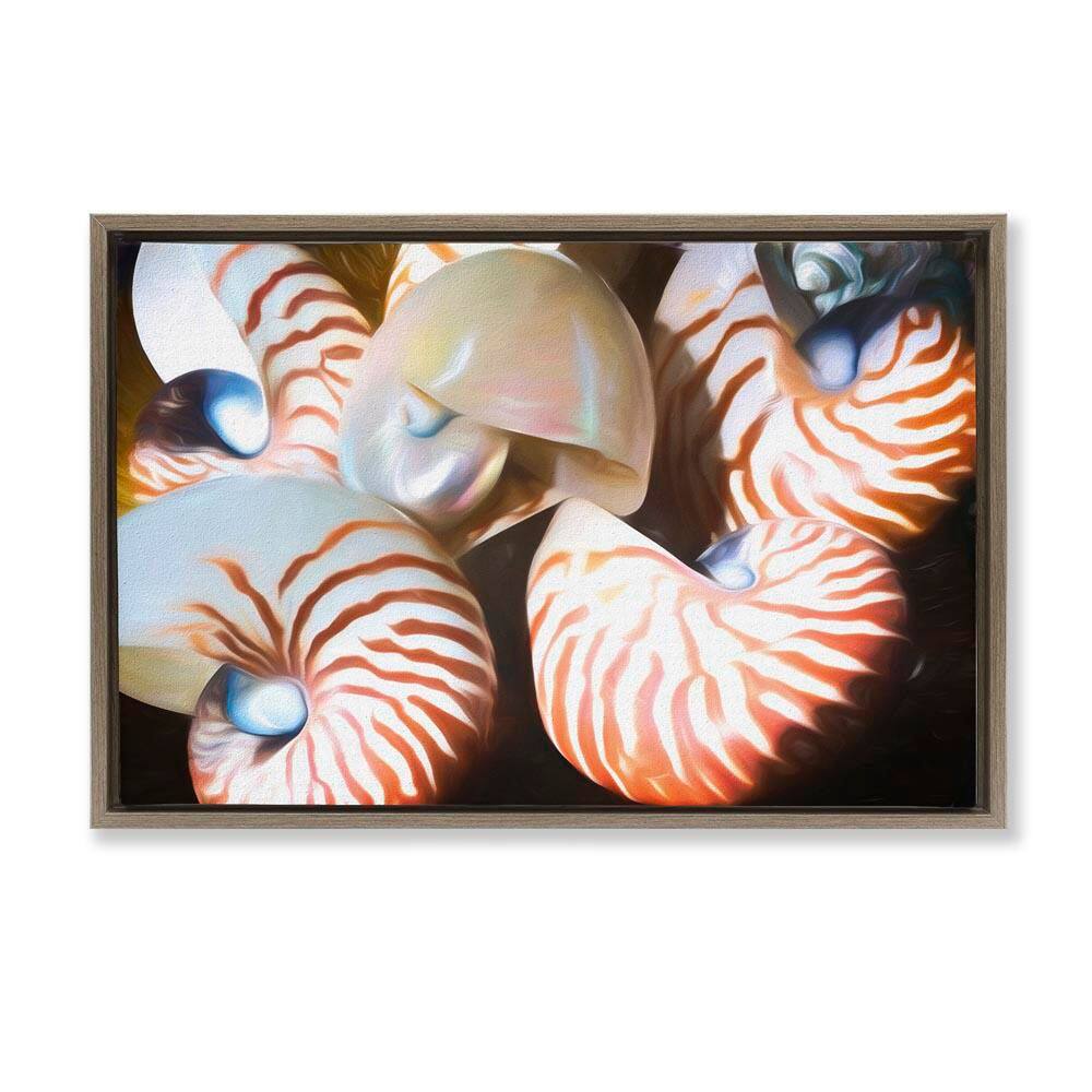 Nautilus Shells Cluster by Graffi*tee Studios Brown Floater Frame Coastal Graphic Art Print 21 in. x 31 in. price history on PriceWatchPro