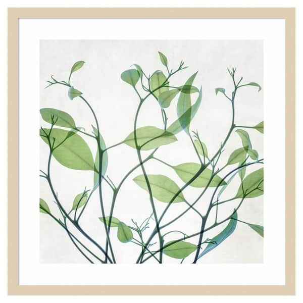 Amanti Art Rendezvous I by Dianne Poinski 25 in. W x 25 in. H. Wood Framed Wall Art Print Framed in Brown