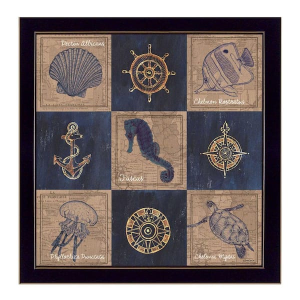 HomeRoots Coastal Collage II by Unknown 1 Piece Framed Graphic Print Typography Art Print 14 in. x 14 in. .