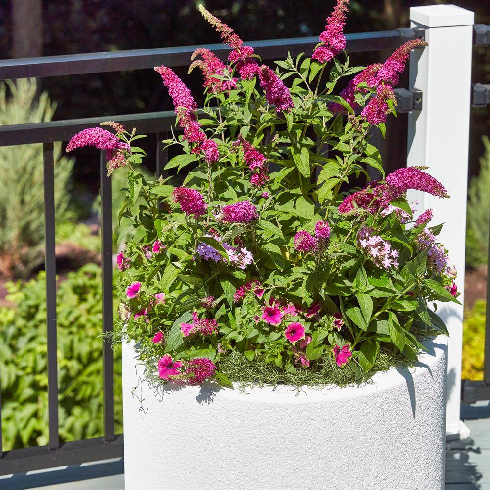 Baja 23" Sandstone Granite Modern Round Outdoor Planter