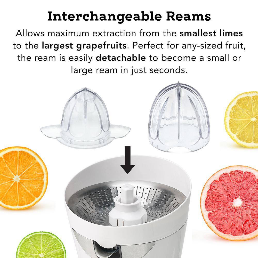 White Electric Stainless Steel Citrus Juicer