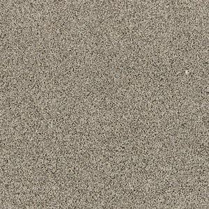 Household Hues II Silvered Gray 41 oz. Polyester Textured Installed Carpet