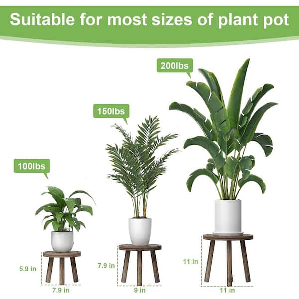 OGETFUUR 3-Pack (11in. W x 11 in. H) Wood Plant Stands Indoor, Single Plant  Stand, Mid-Century Modern Plant Stool MQ1D-5Y2