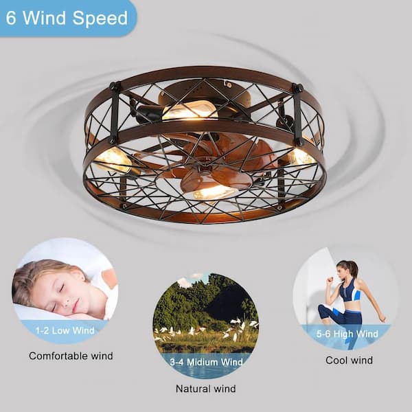 20 in. Indoor Black Caged Enclosed Smart Ceiling Fan with 4-Light
