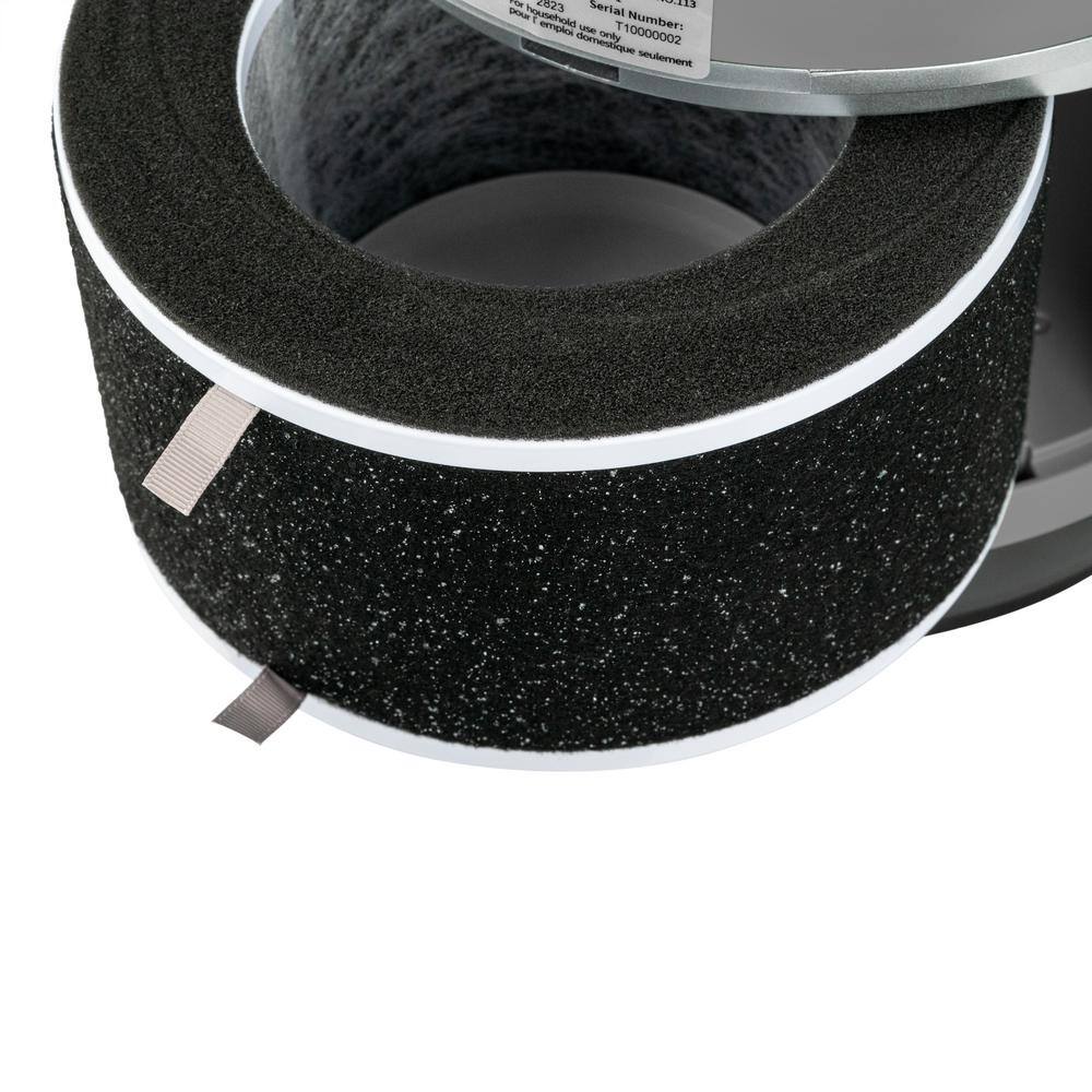 Gray HEPA Air Purifier and Heater with Remote Control