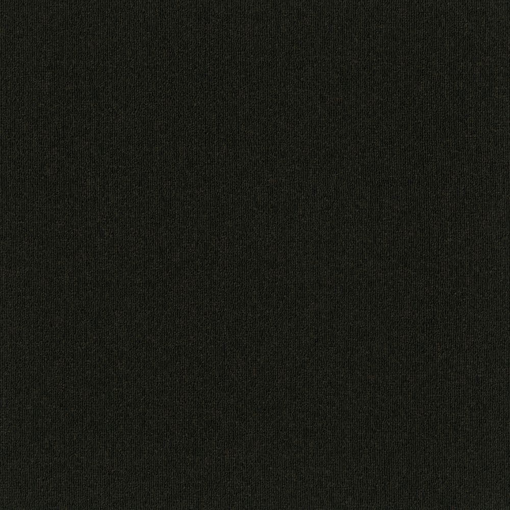 8 in. x 8 in. Loop Carpet Sample - Form Focus 26 - Color Shadow price history on PriceWatchPro