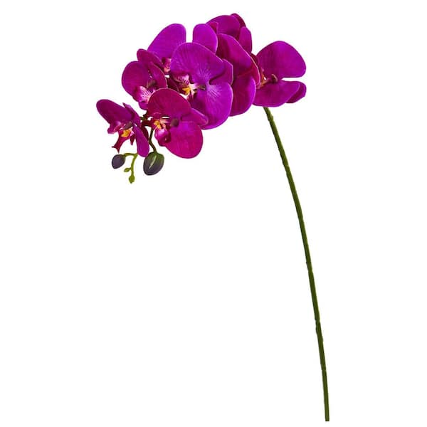 Nearly Natural 28 in. Orchid Phalaenopsis Artificial Flower Stem (Set ...