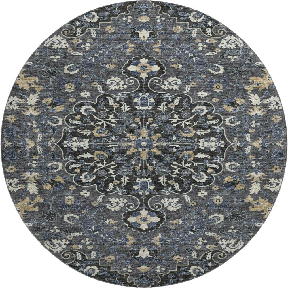 Mayfield Premium Machine Washable Abstract AMF2463 Black 8 ft. x 8 ft. Round Rug price history on PriceWatchPro