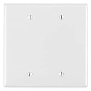 White 2-Gang Blank Plate Wall Plate (1-Pack)