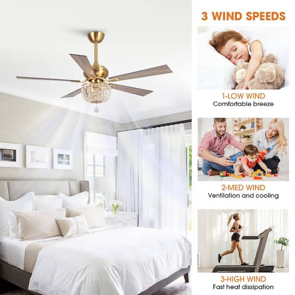 Parrot Uncle Shena 52 in. Indoor Downrod 5-Blade Gold Ceiling Fan